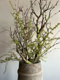 Kunst boeket Birch takken met Asparagus en Berk incl houten pot