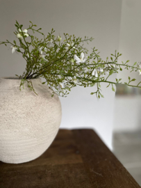 Plastic Corokia met witte bloemetjes Wit 89 cm
