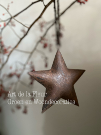 Metalen ster met touw 15 cm