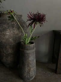 Chrysant 1 bloem 1 knop