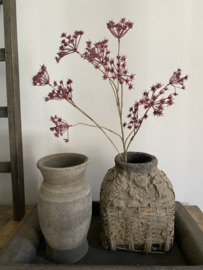 Fluitenkruid 13 bloemen  fuchsia 90 cm