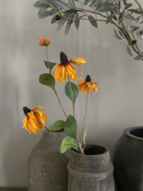 Rudbeckia 83 cm