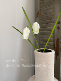 Fritillaria wit gemêleerd 54 cm