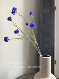 Korenbloem blauw 89cm