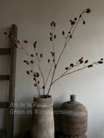 Rozenbottel tak 120 cm Burgundy