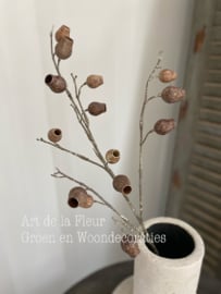 Eucalyptus Bells bruin 86 cm