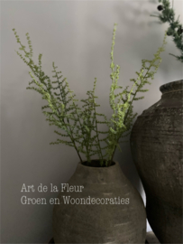 Kunst tak Wilde Asparagus gras groen 5 vertakkingen