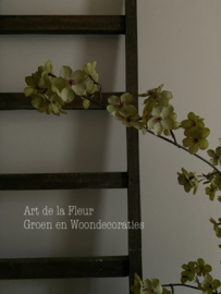 Groene Bloesem 112 cm