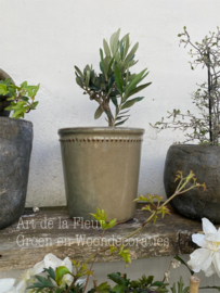 Bloempot geglazuurd 12 cm incl plastic binnenpotje