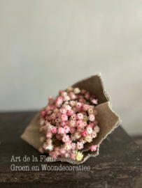 Toefje Gipskruid met bakkersdoek kunst