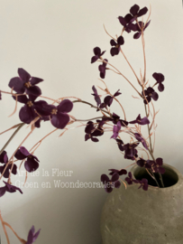 Floral stem 112 cm