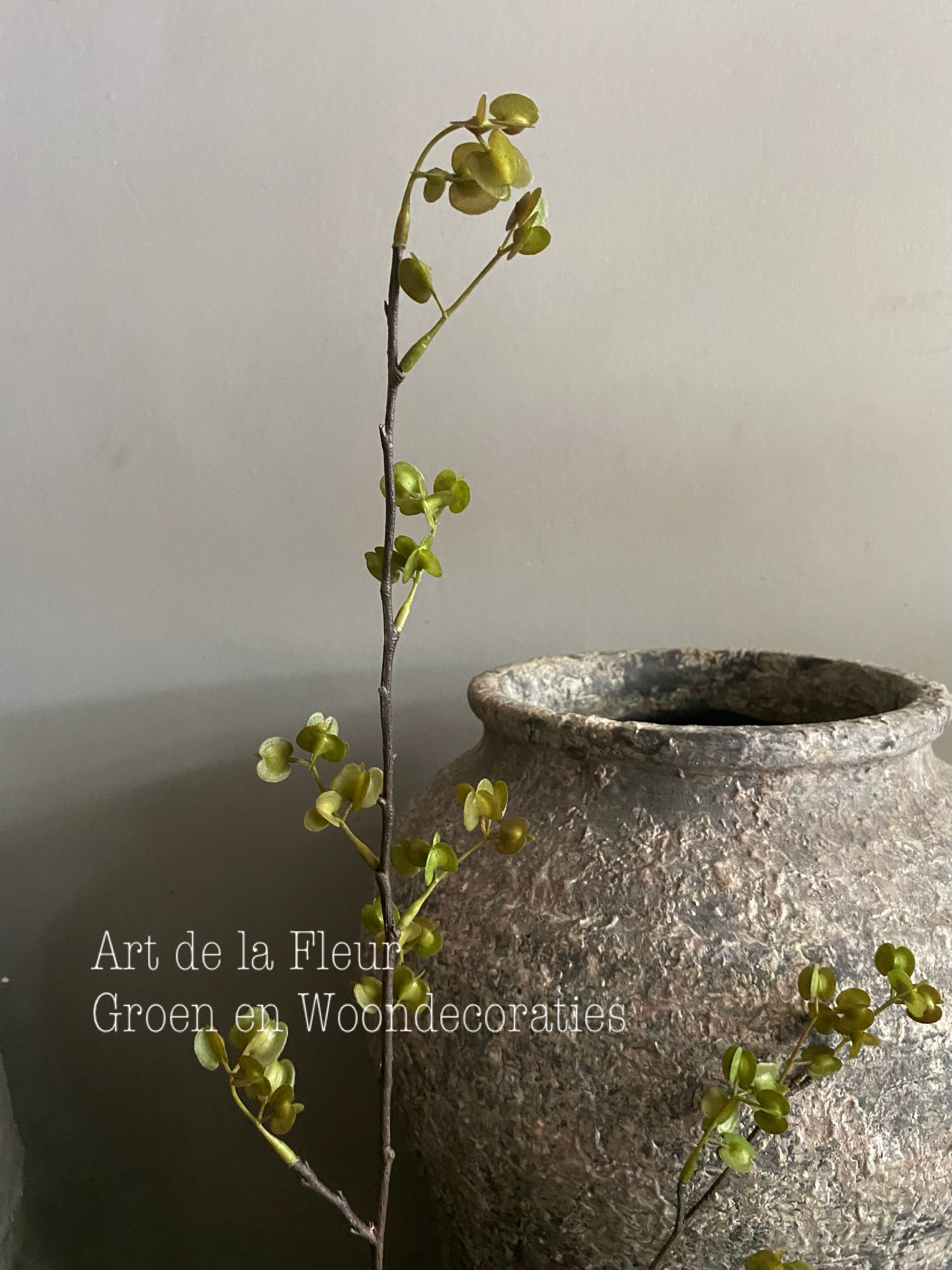 Elm Seed warm groen 84 cm