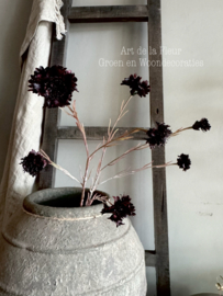 Cornflower | Burgundy Real Touch 89 cm