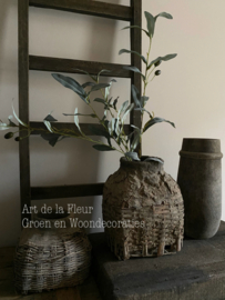 Olijf Grey 105 cm