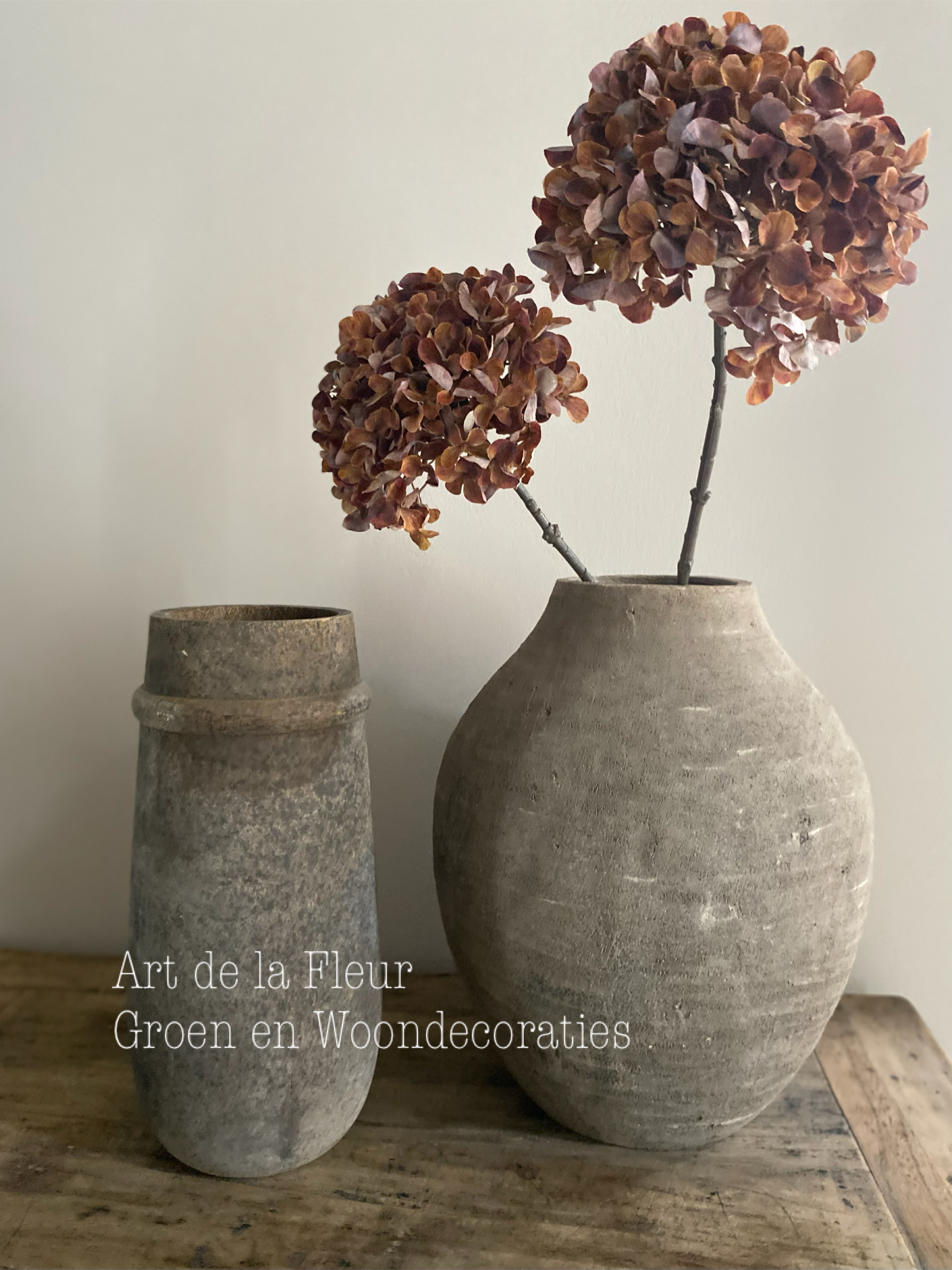Hortensia Dark dried look 82 cm