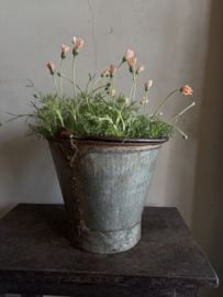 Oud uitziende emmer  P 27 x 23