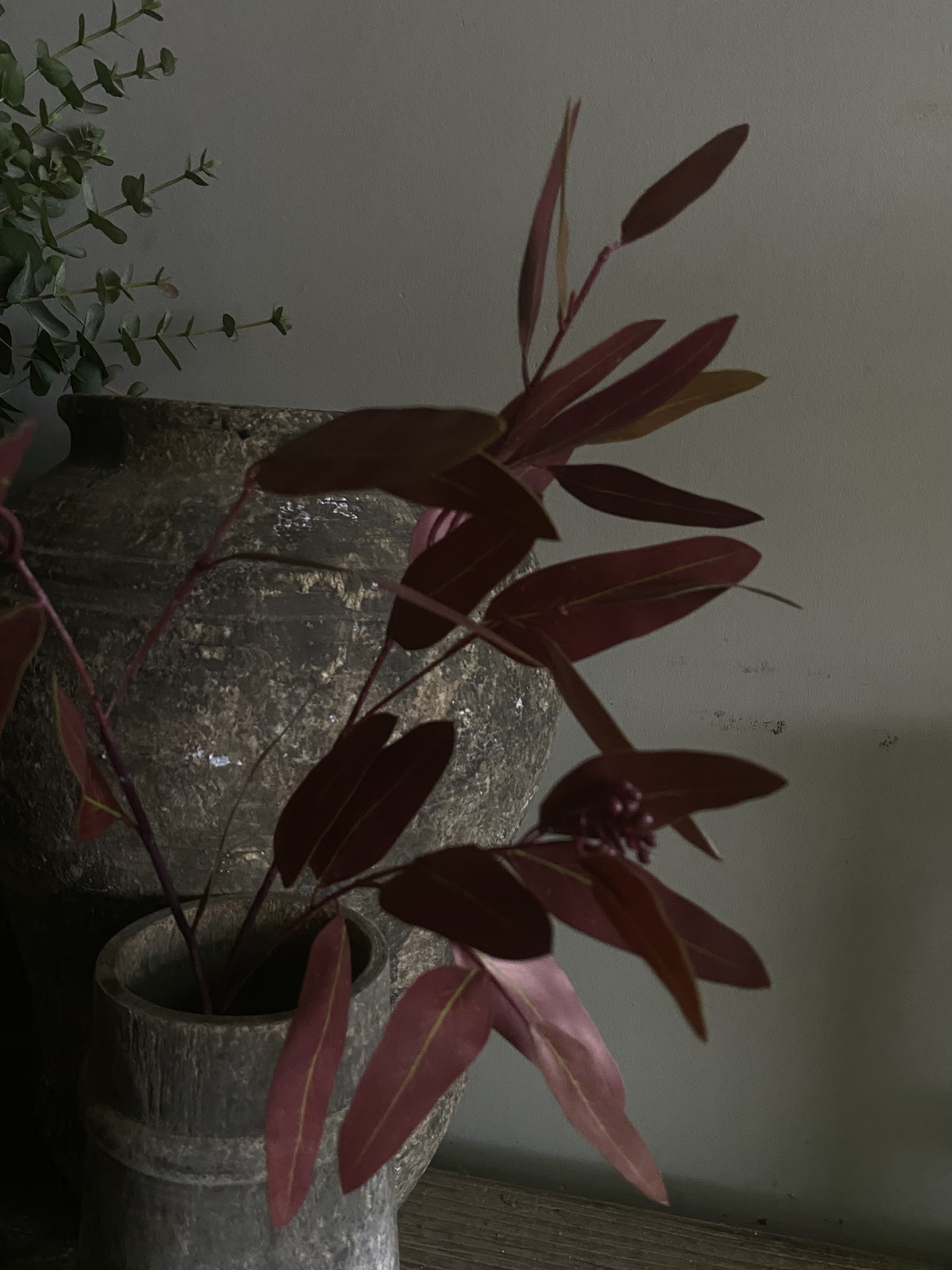 Eucalyptus blad plastic bordeaux rood