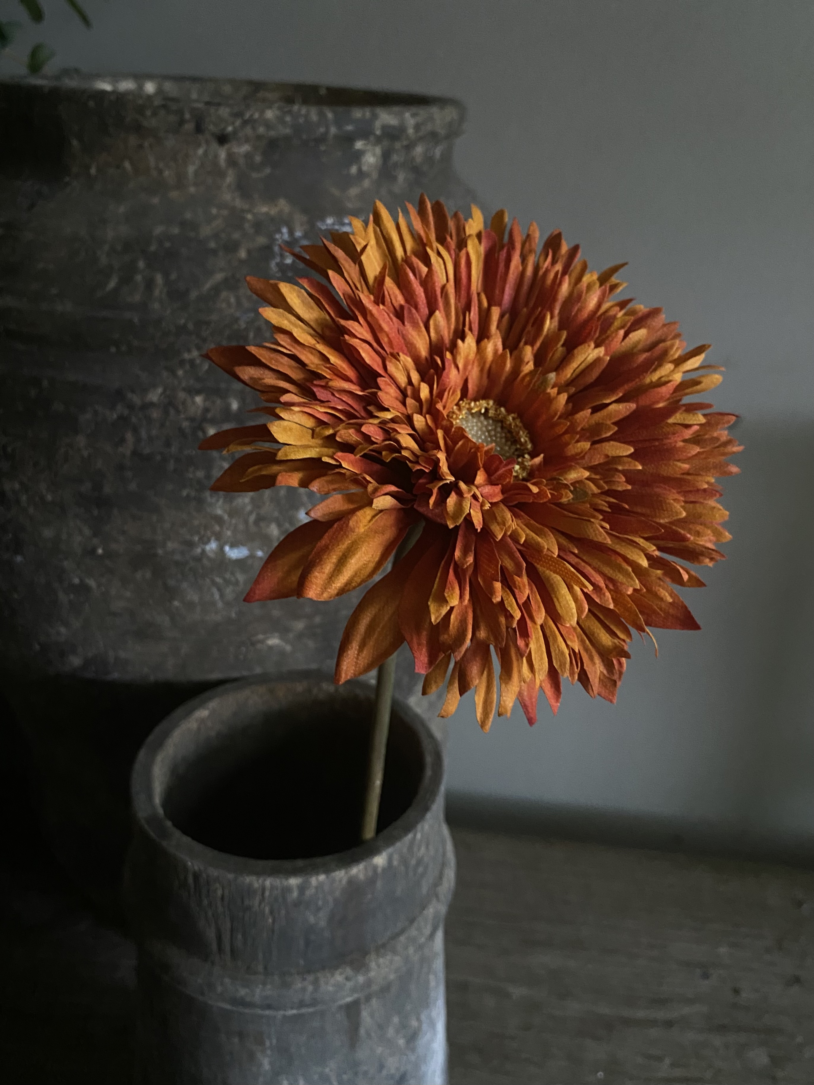 Gerbera Double oranje