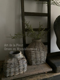 Wilde Asparagus 73 cm Kunst 3 vertakkingen ingetogen mat groen