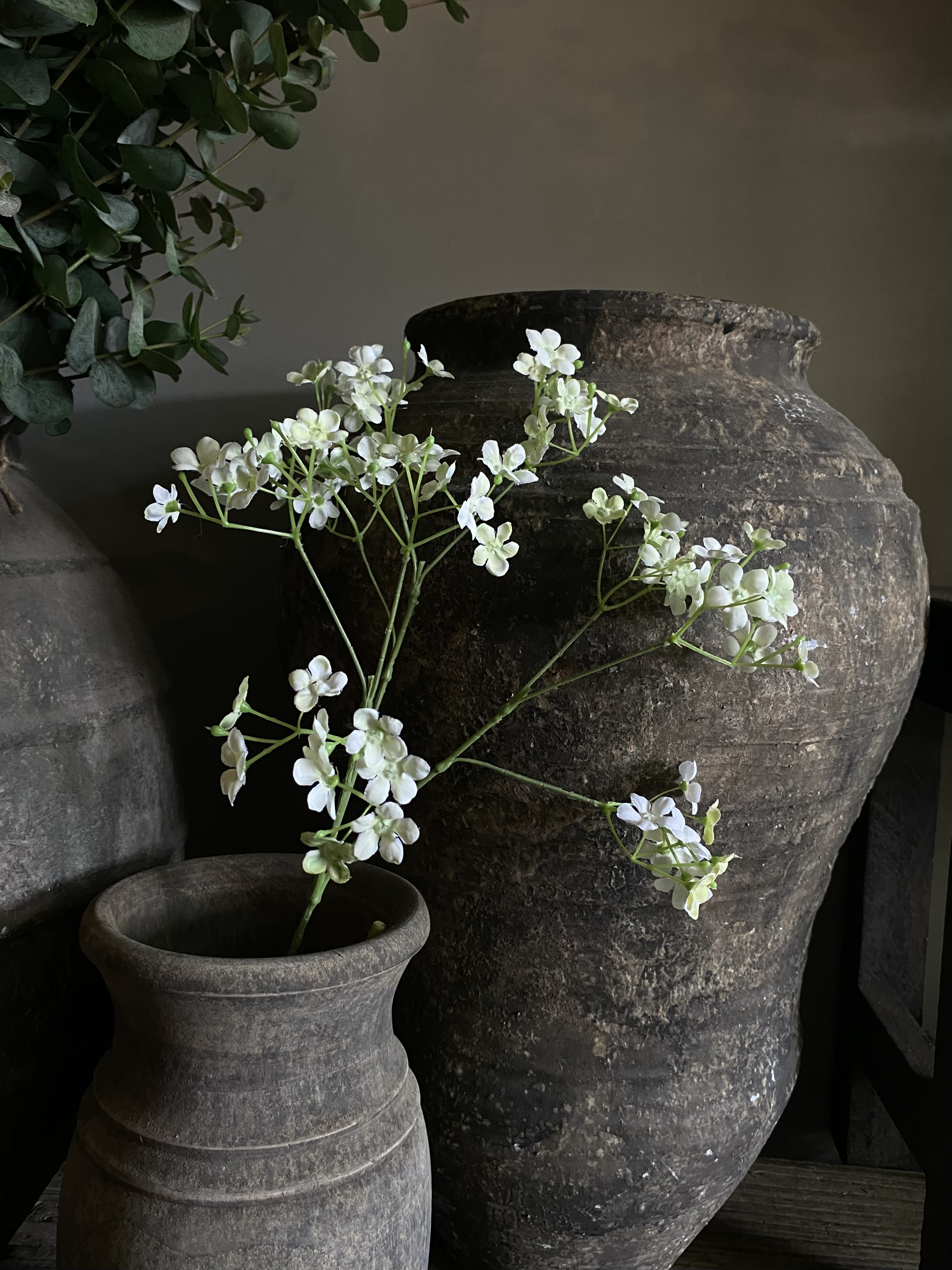 Gipskruid grof 64 cm