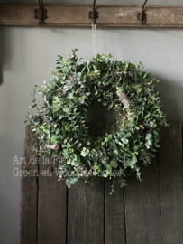 Krans van mos , Bonsai en kunst Eucalyptus 35 cm