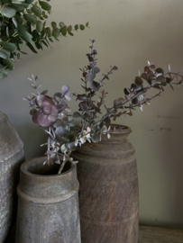 Eucalyptus donker bosje op steel 65 cm