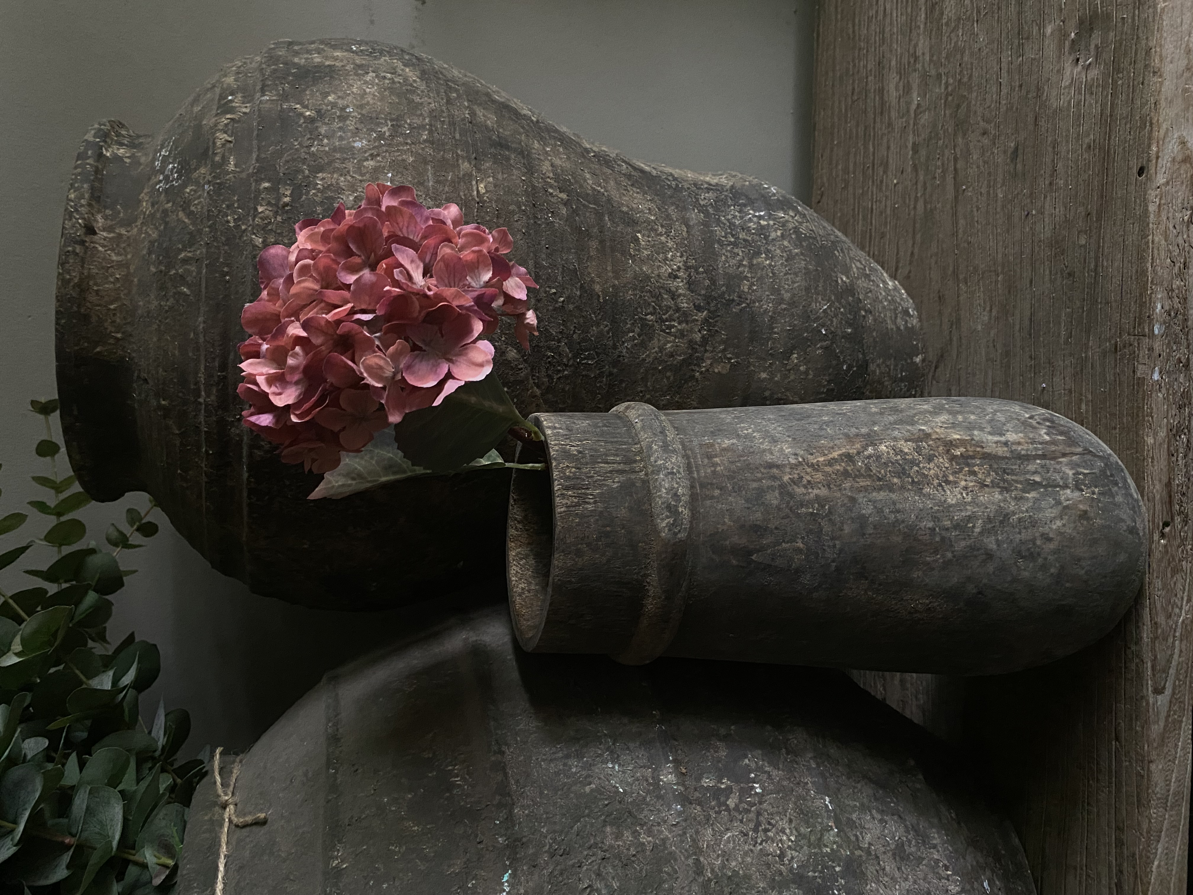 Hortensia 40 cm
