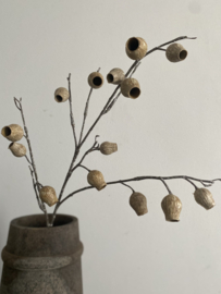 Eucalyptus Bells Oker 86 cm
