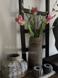 Samengesteld , XL Tulpen , Pimpernel en Gagel gevlamd