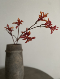 Kangoeroe pootje steel donker Oranje  ruig  71 cm