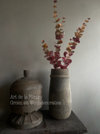 Eucalyptus Burgundy  81 cm