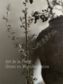 Kunst Cedrus boompje met ledlampjes 70 cm ( excl pot )