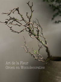 Kunst tak Twig spray 70 cm