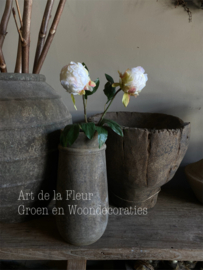 Pioen Wit 52 cm