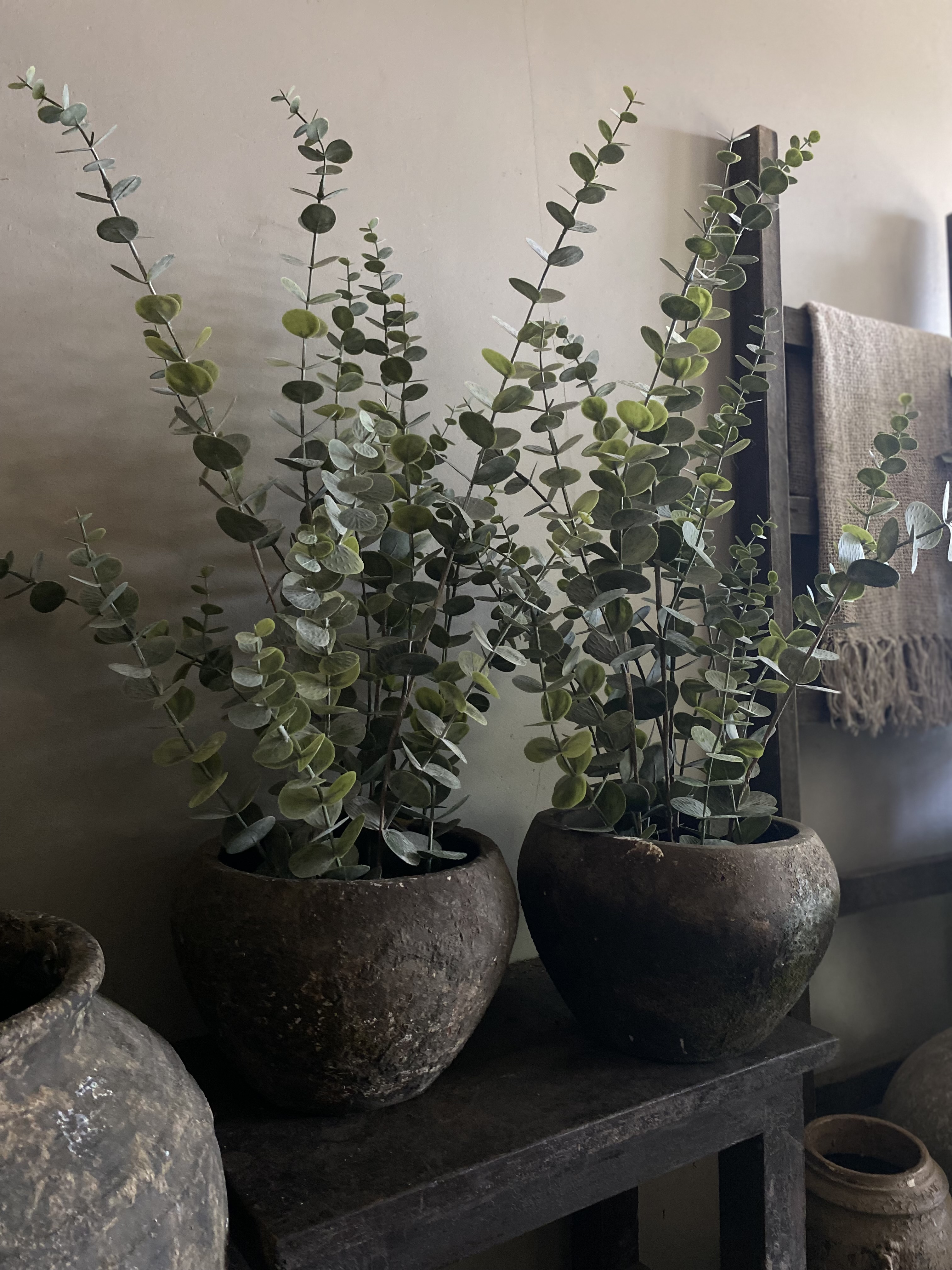 Kunst plant Eucalyptus 76 cm