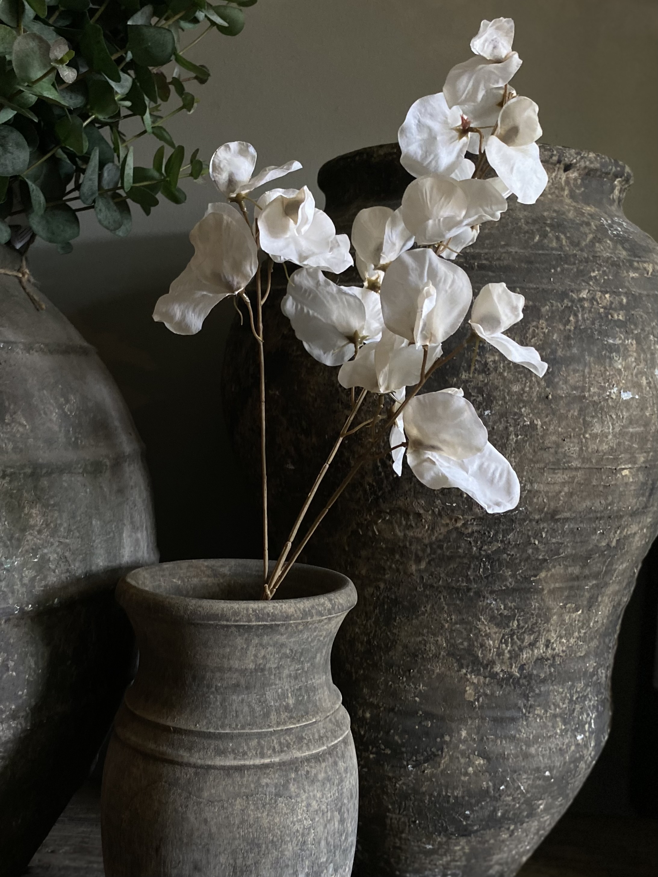 Lathyrus dried look 76 cm Crème
