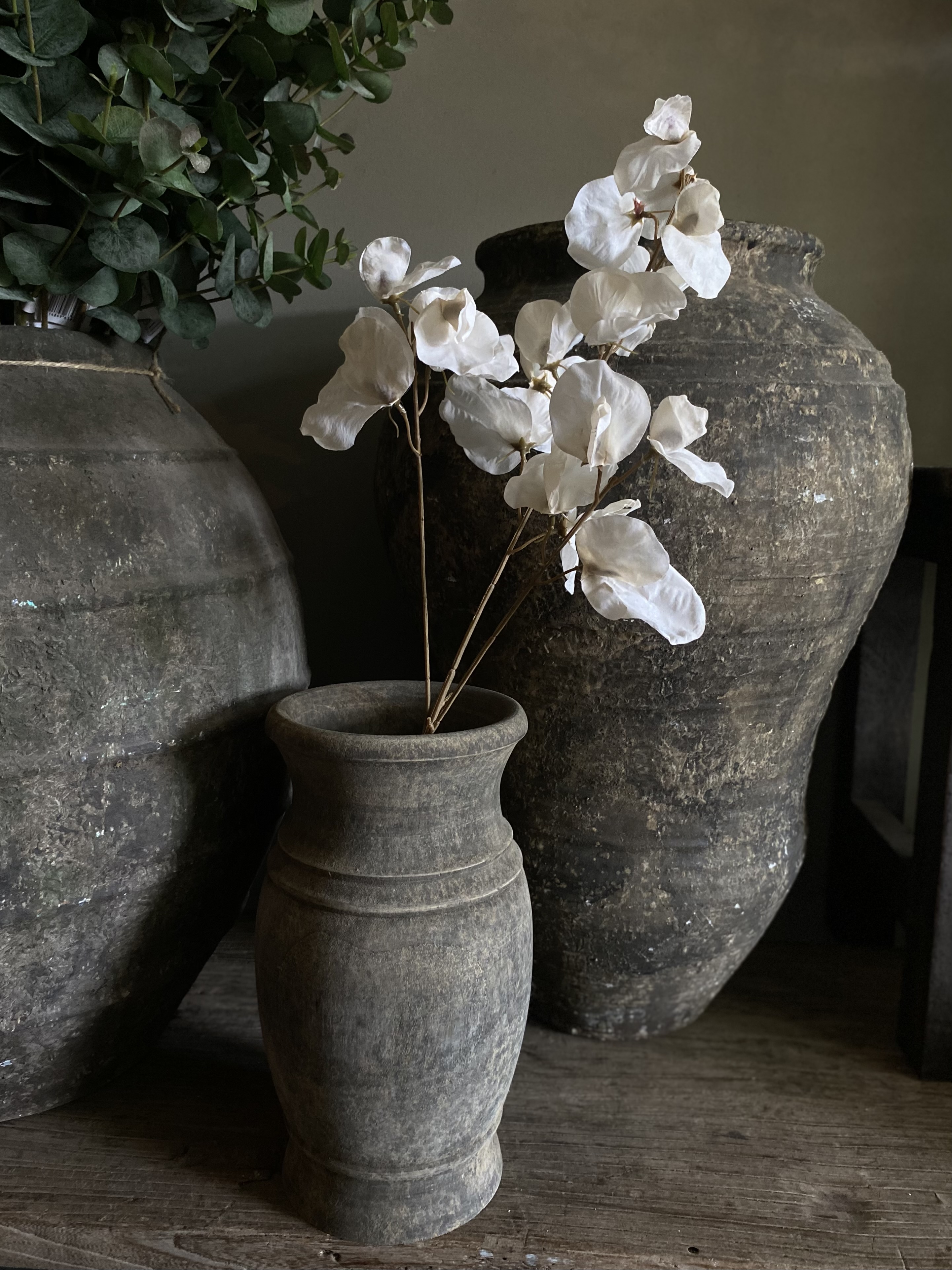 Lathyrus dried look 76 cm Crème