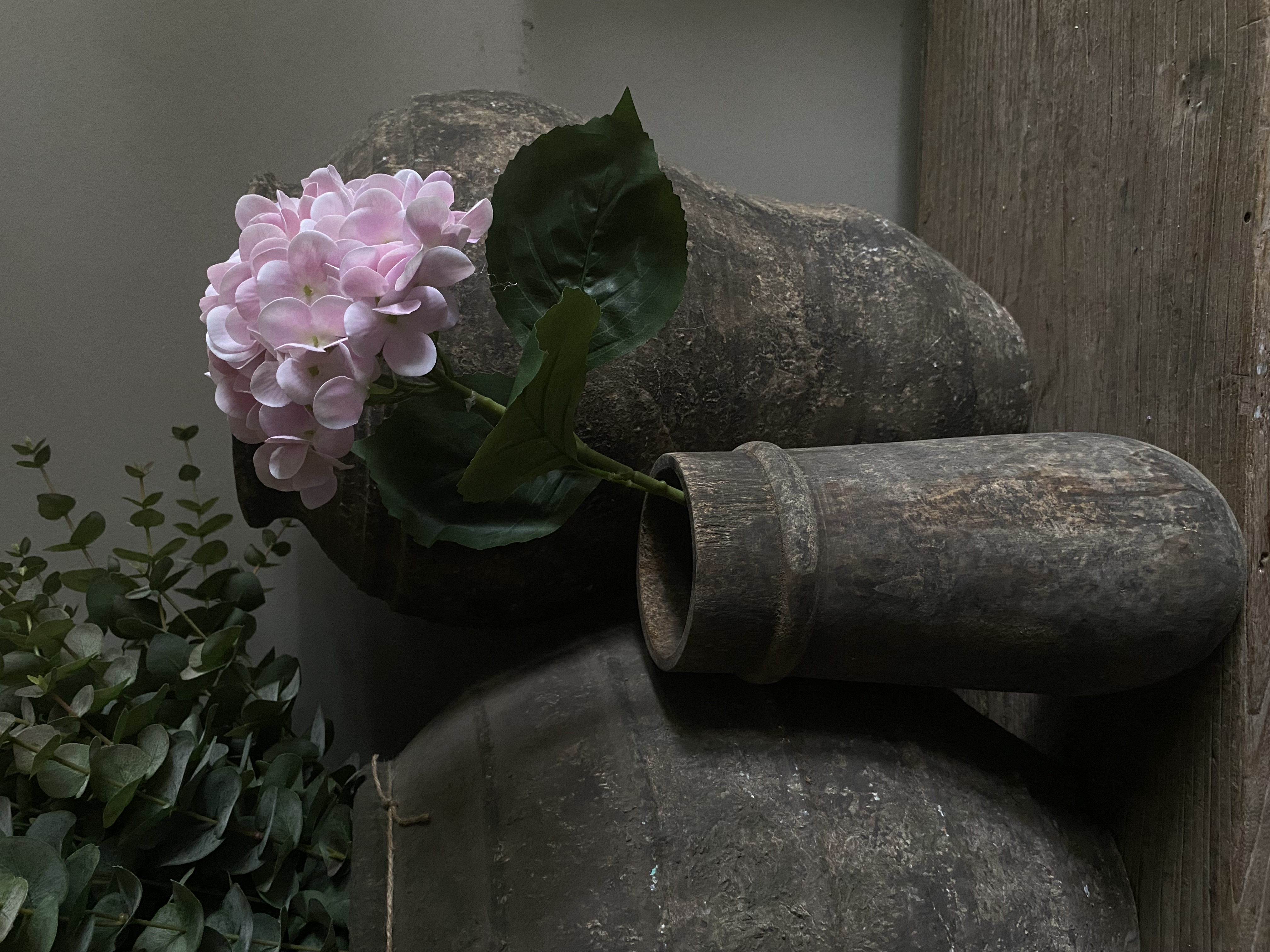 Hortensia baby roze 40 cm