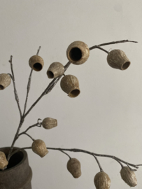 Eucalyptus Bells Oker 86 cm
