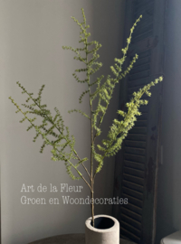 Kunst tak Wilde Asparagus gras groen 5 vertakkingen