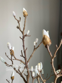 Magnolia wit  135 cm Extra vol