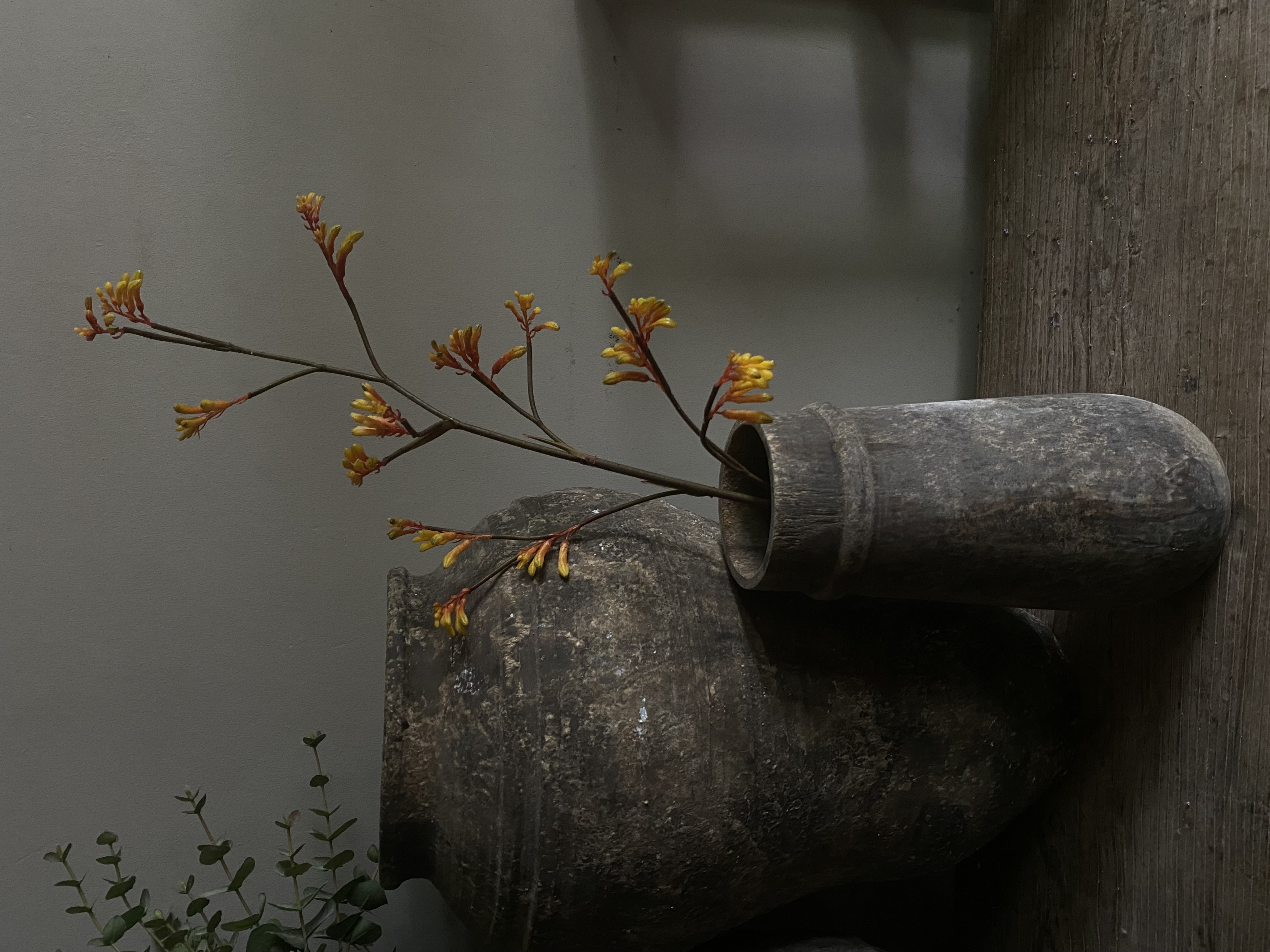 Kangoeroe poot L 102 cm