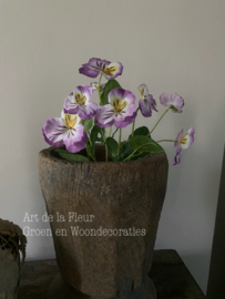 Kunst viooltje | struikje | steker