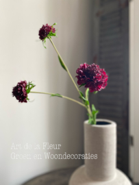 Scabiosa Spray Burgundy 76cm