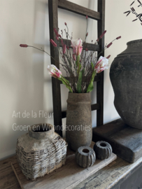 Samengesteld , XL Tulpen , Pimpernel en Gagel