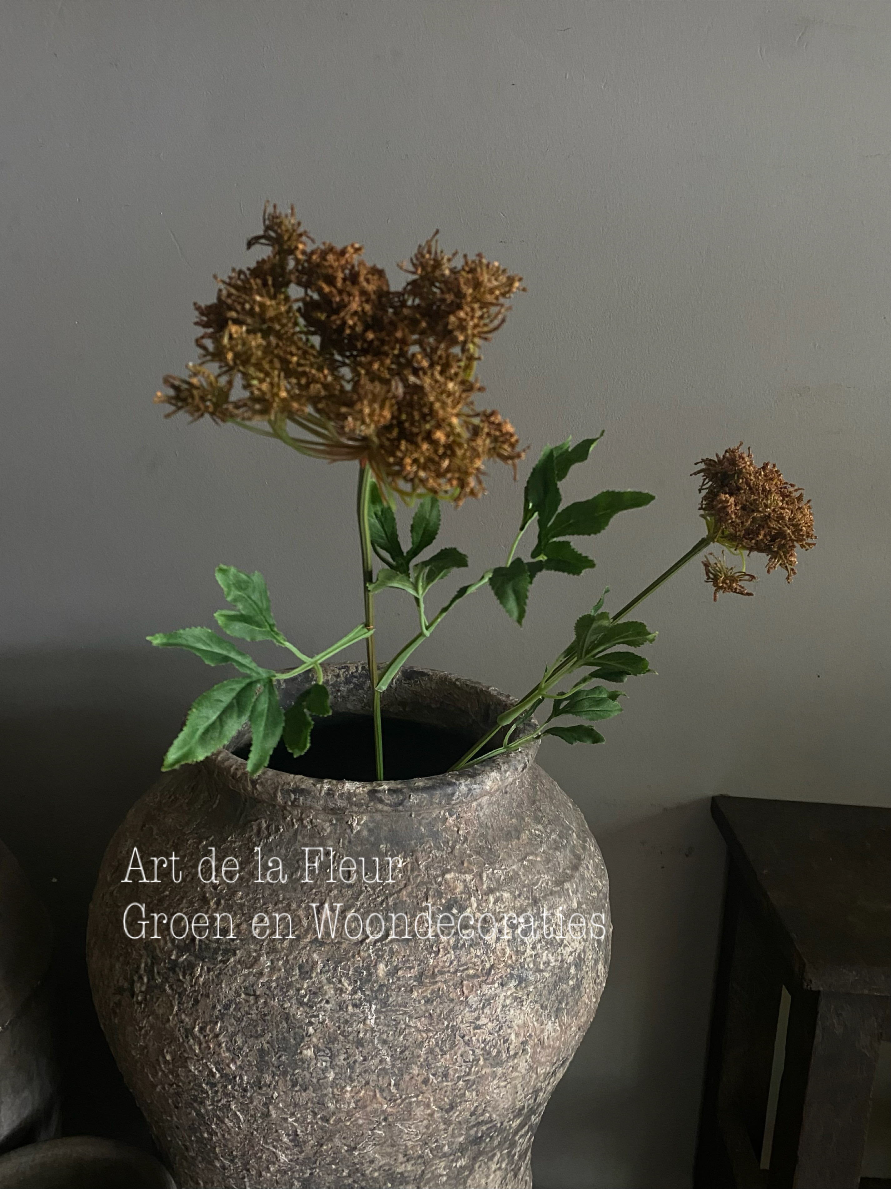 Queen Ann lace Bruin 90 cm