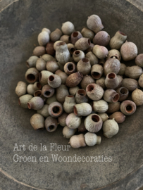 Eucalyptus Bell  zak 500 gram ongeveer 100 stuks