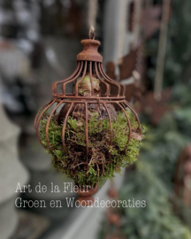 Roestige hanger incl mos en Amaryllisbol