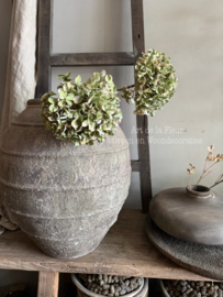 Hydrangea | Groen 65 cm