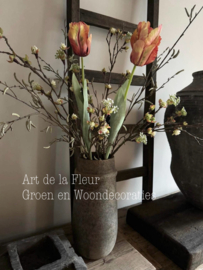 XL Papagaai Tulp Orange  Nieuw